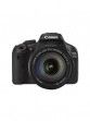 Canon EOS 550D (EF-S 18-135mm f/3.5-5.6 IS Kit Lens) Digital SLR Camera price in India