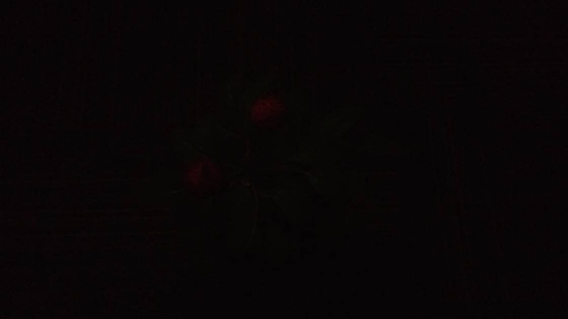 Rear Camera