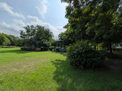 Google Pixel 10 Pro Fold