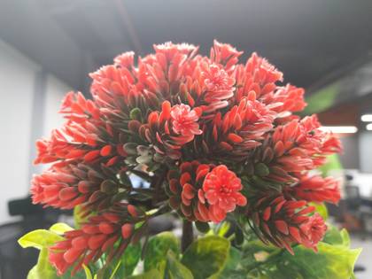Nokia 7 Plus