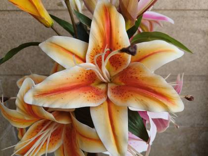 realme GT Neo 3 5G 256GB