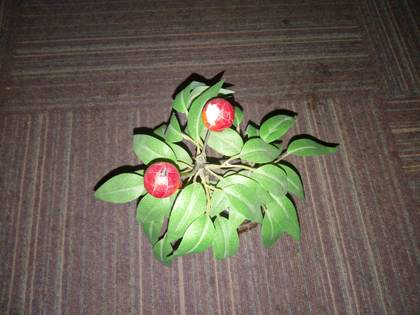 Micromax Canvas 5 E481 3GB RAM