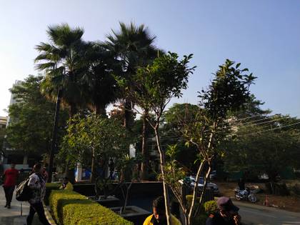 vivo S1 Pro
