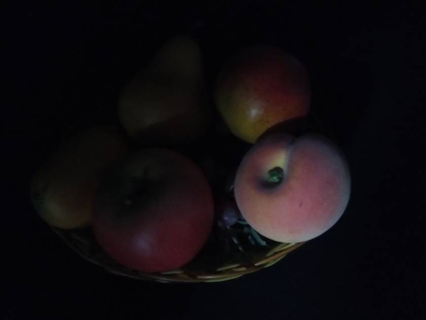Rear Camera