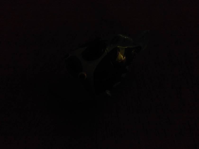 Rear Camera