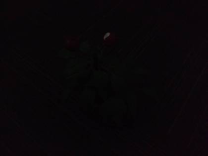 Motorola Moto X Play 32GB