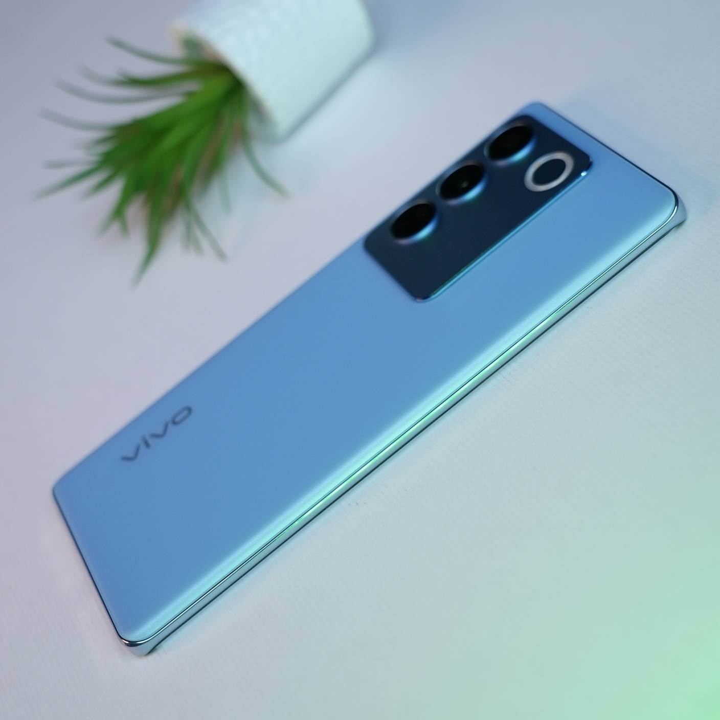 vivo