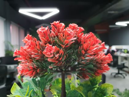 Samsung Galaxy S9 Plus