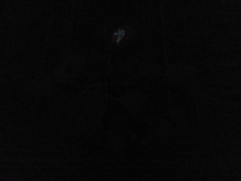 Rear Camera