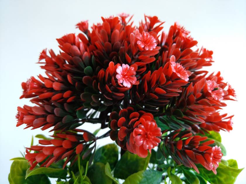 Rear Camera