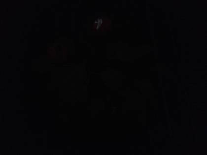 Samsung Galaxy J2 2016