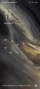 OPPO F17 Price in India, Full Specs (5th October 2020 ...