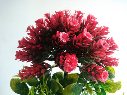 Panasonic Eluga Ray Max 32GB