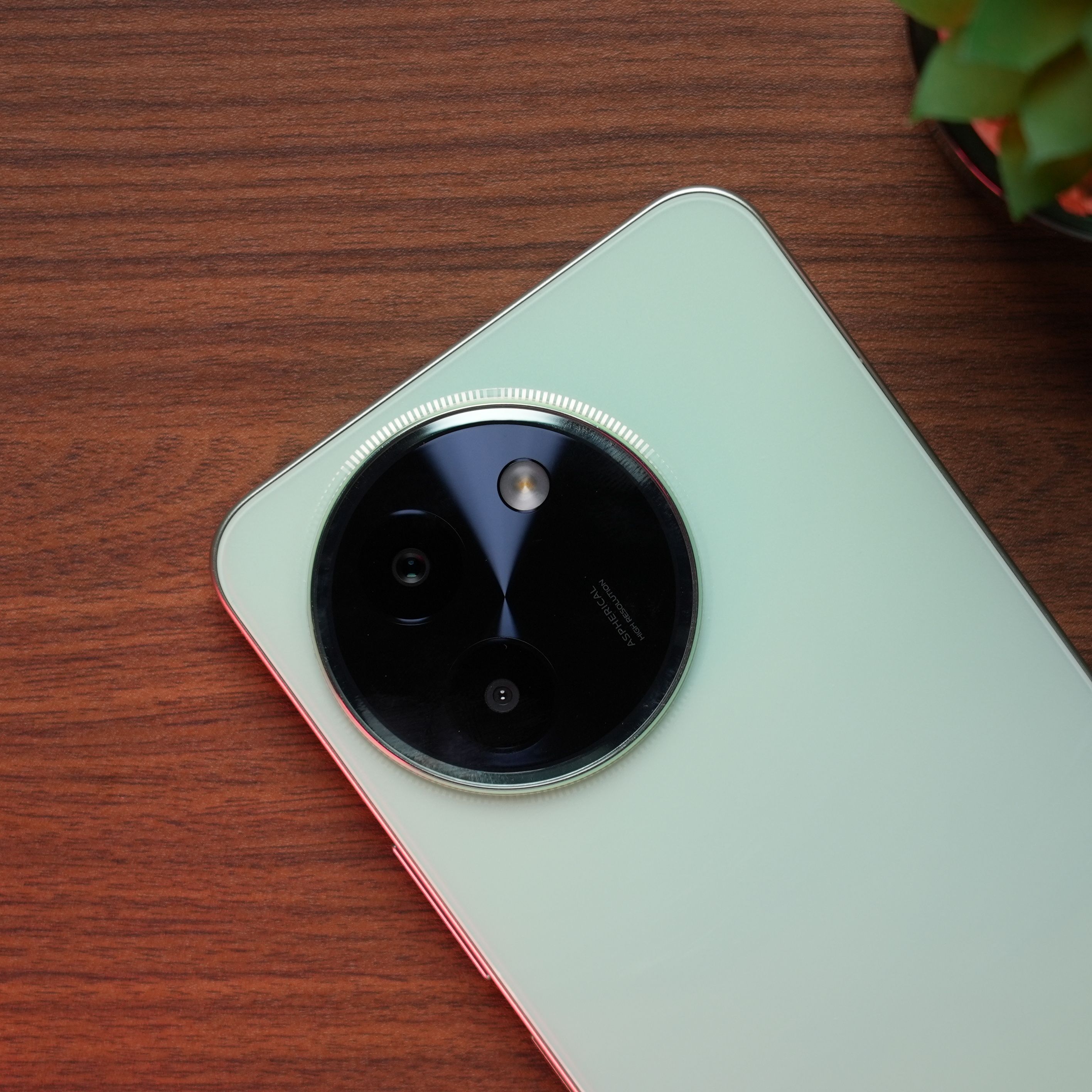 vivo