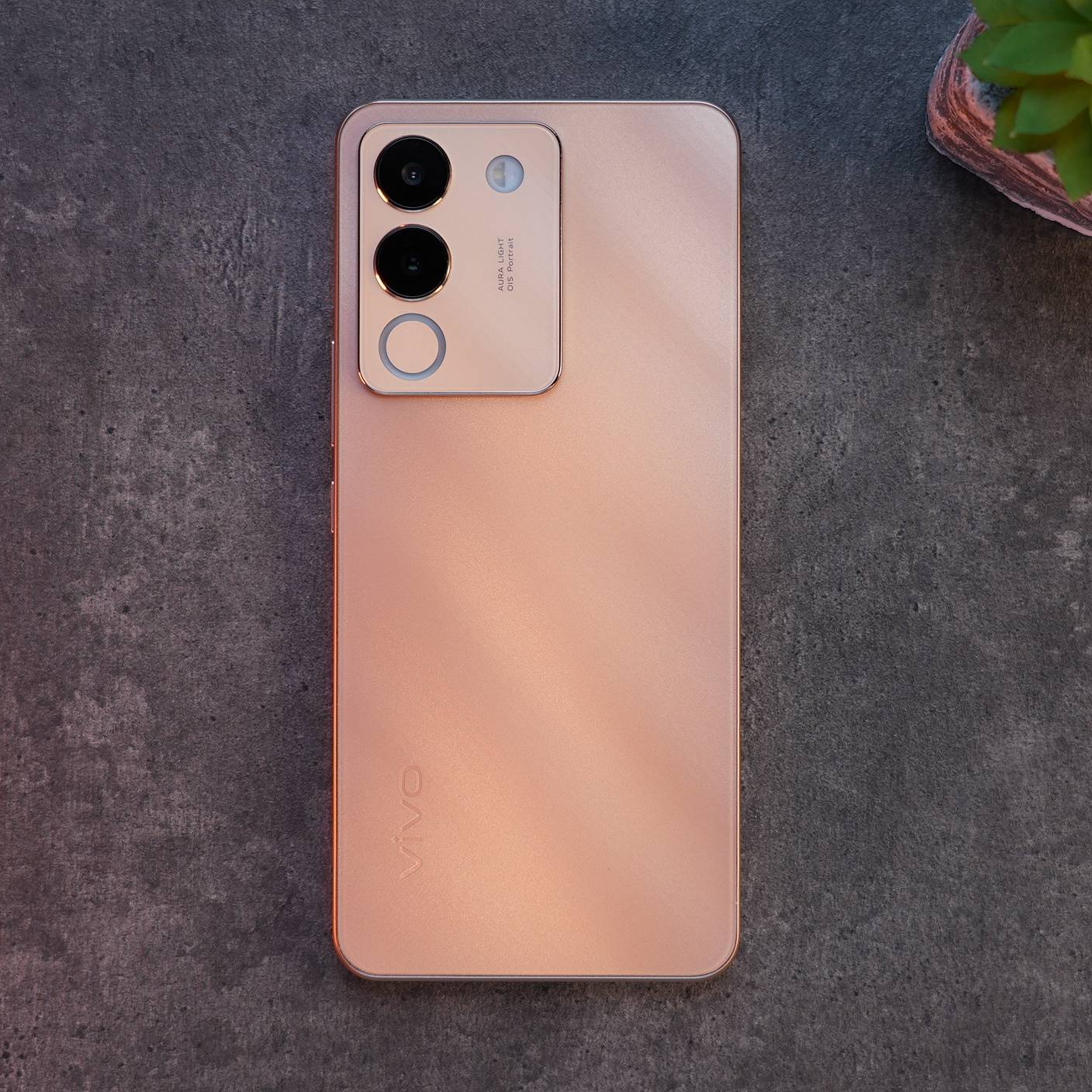 vivo
