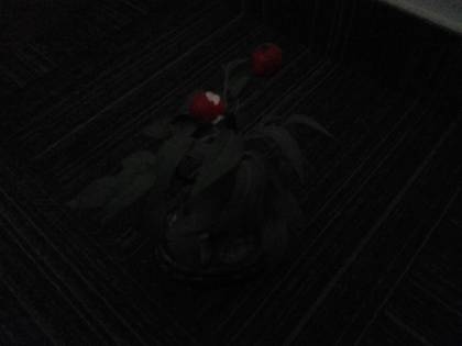 Asus Zenfone Max ZC550KL