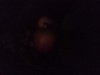 Rear Camera