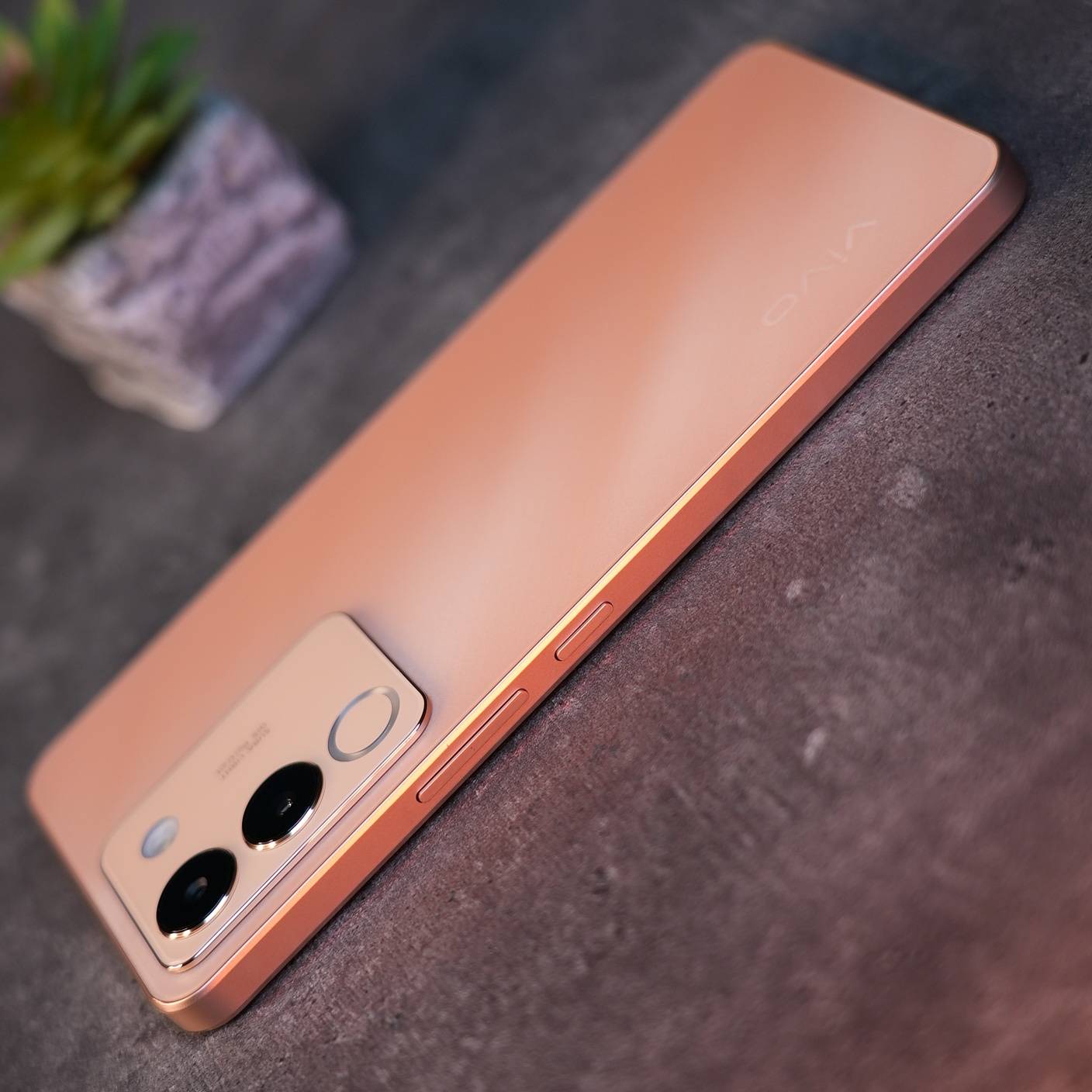 vivo