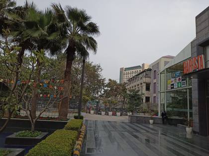 realme 6