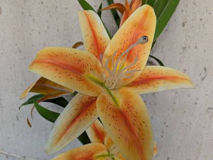 Google Pixel 10 Pro Fold