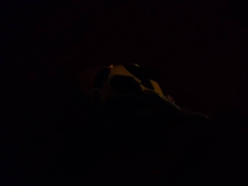 Rear Camera