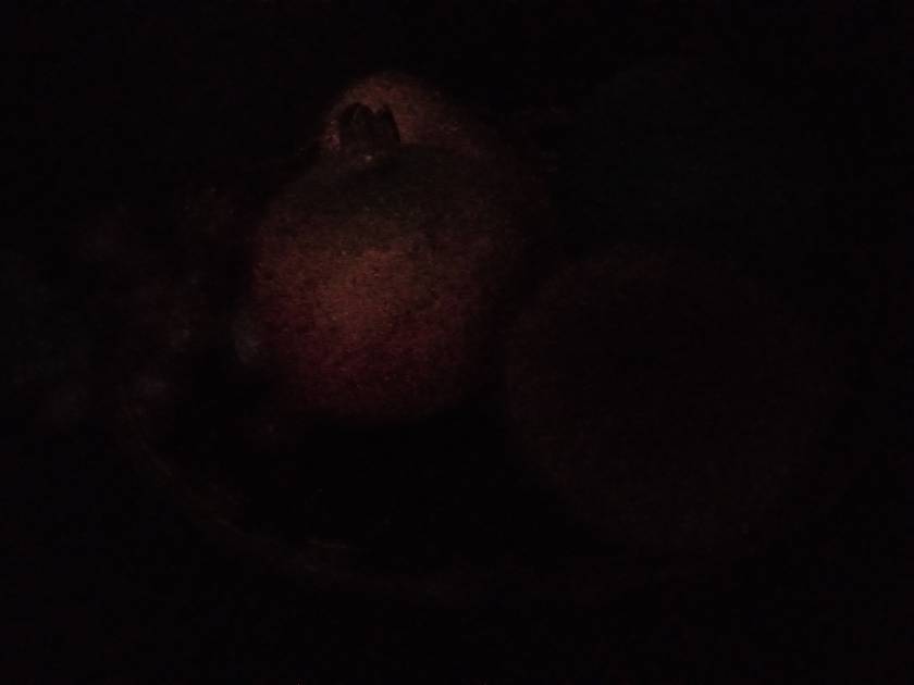 Rear Camera