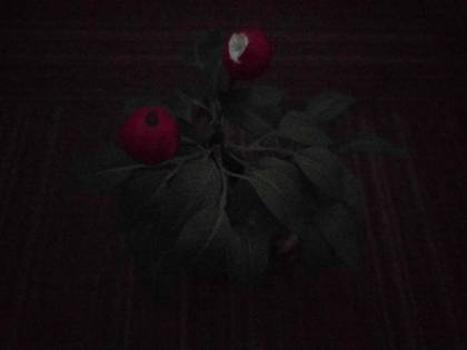 Google Nexus 6P 32GB