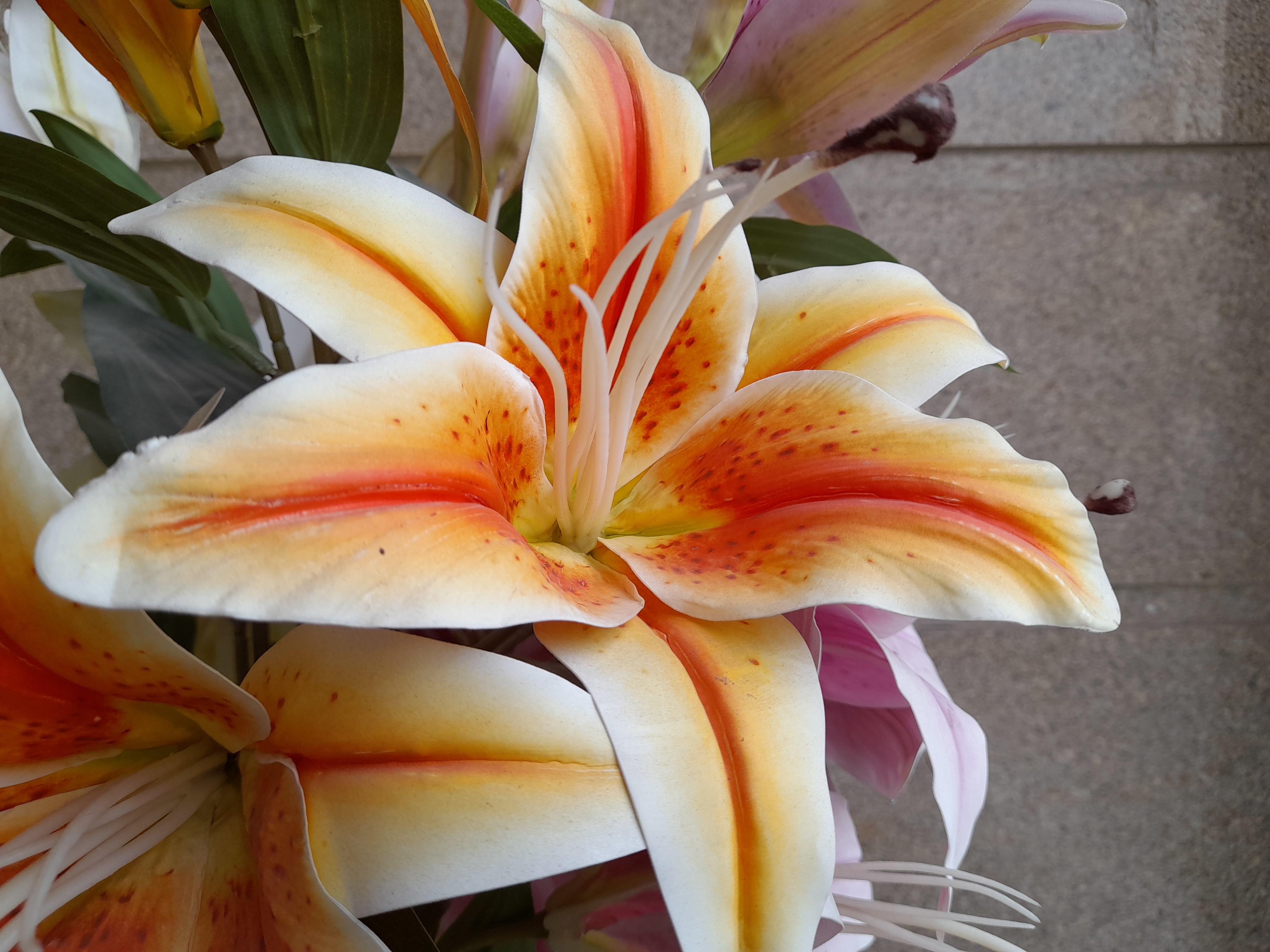 [Exclusive] Samsung Galaxy M12/F12 specs revealed