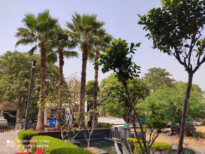 Xiaomi Redmi Note 9 Pro