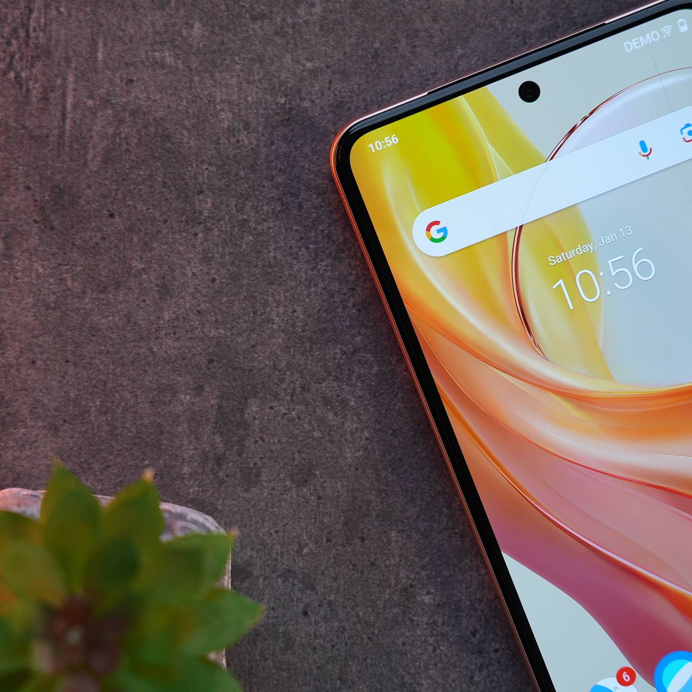 vivo