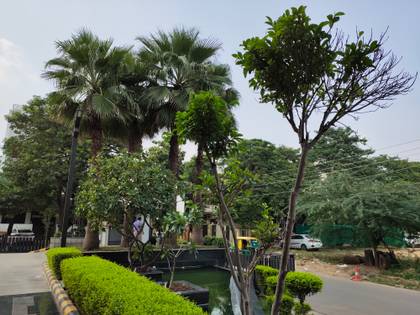 vivo V17 Pro