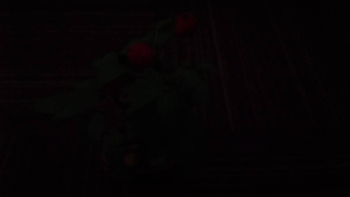 Rear Camera