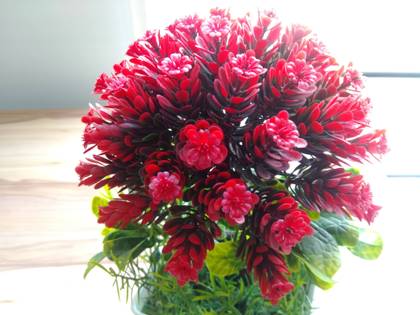 Smartron srt.phone 64GB