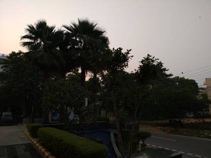 Xiaomi Redmi 8A