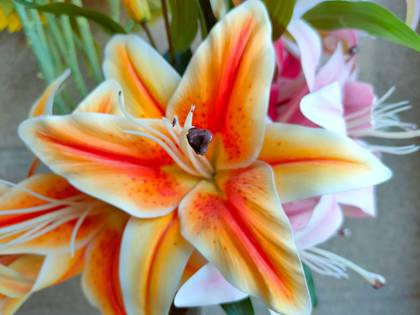 realme X3 SuperZoom Edition