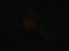 Rear Camera
