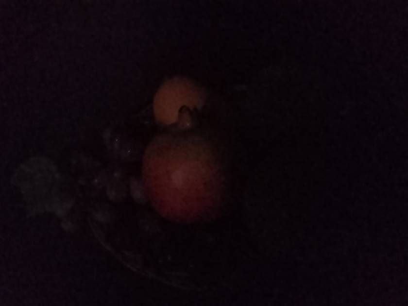 Rear Camera