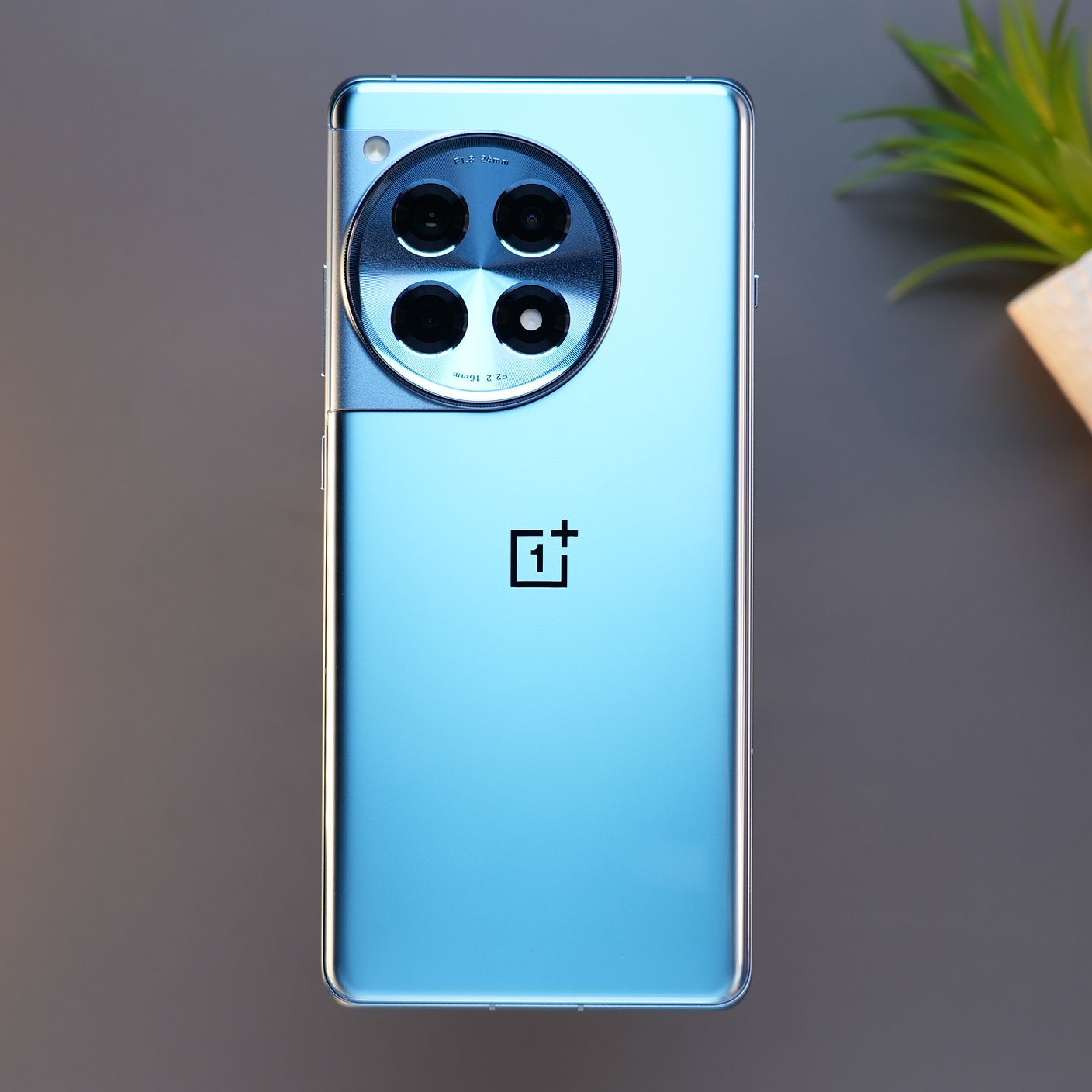OnePlus
