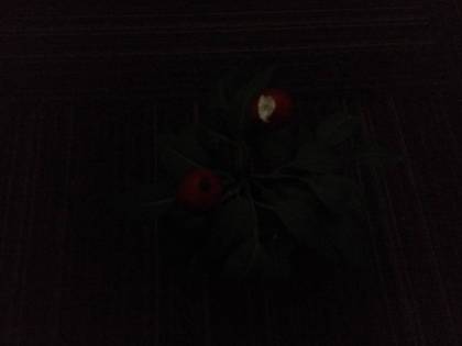 Xiaomi Redmi Note 2