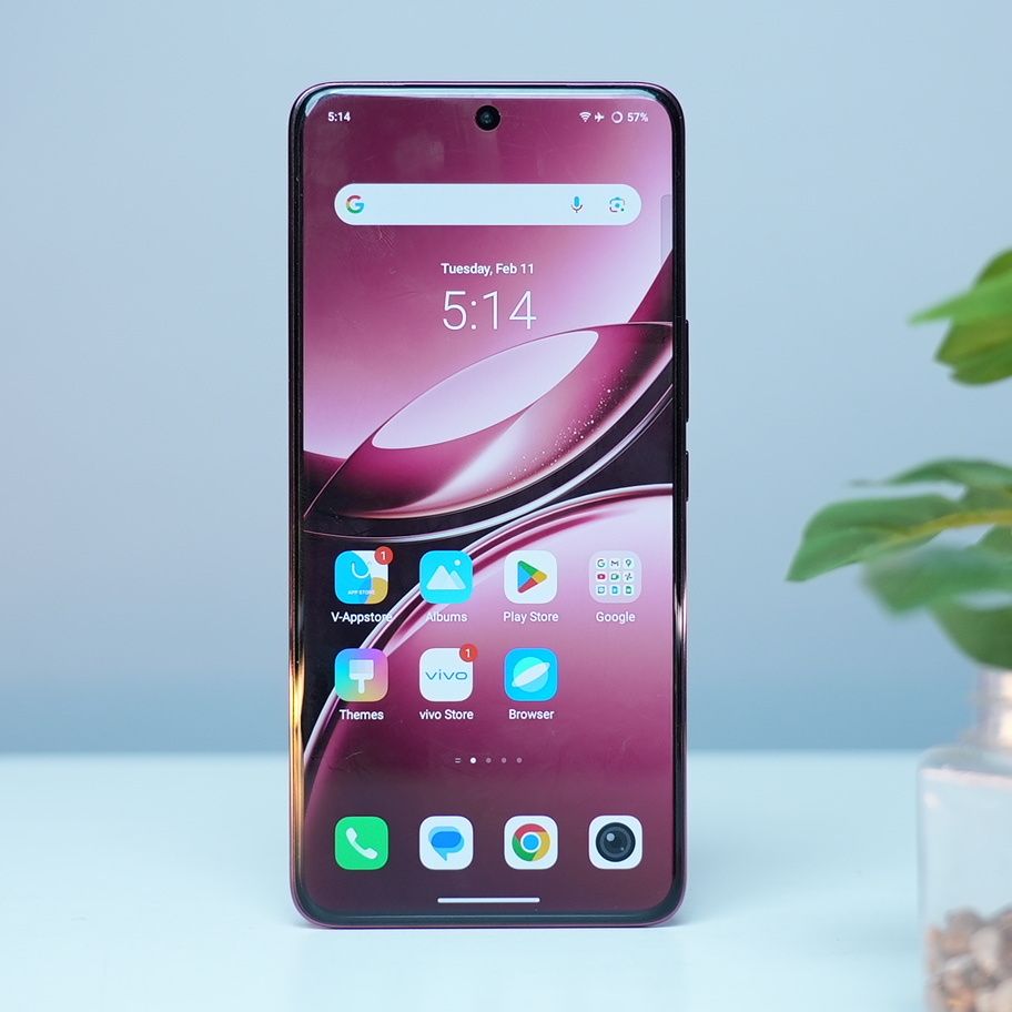 vivo