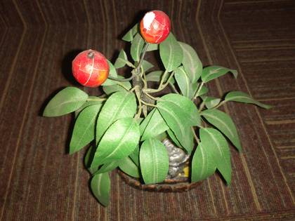 Motorola Moto G Turbo