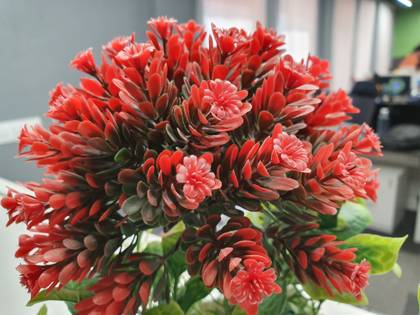 Samsung Galaxy S10e 256GB