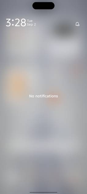 UI Screenshot