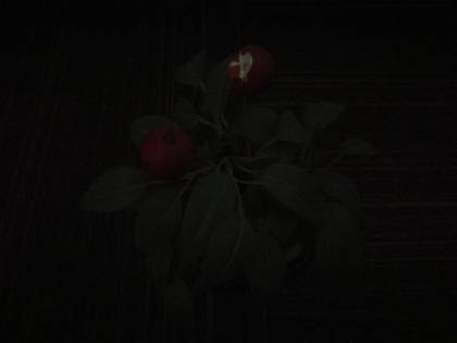 Huawei P9