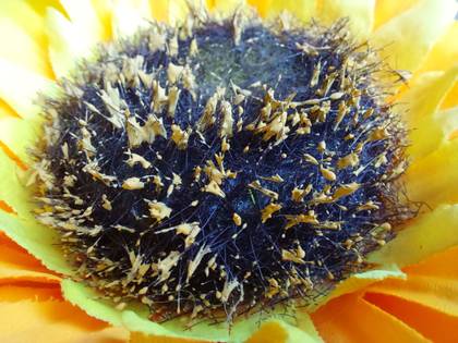 Samsung Galaxy M52 5G