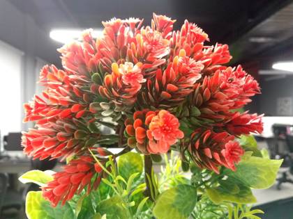 Kult Impulse