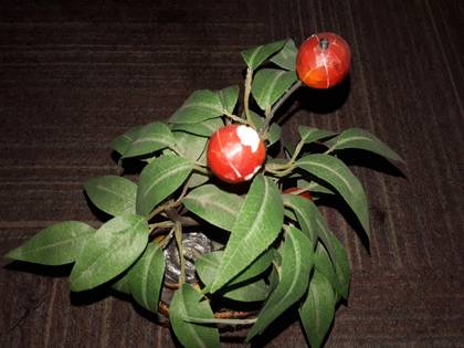 Samsung Galaxy On5
