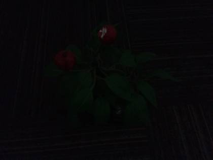 Samsung Galaxy On7 Pro