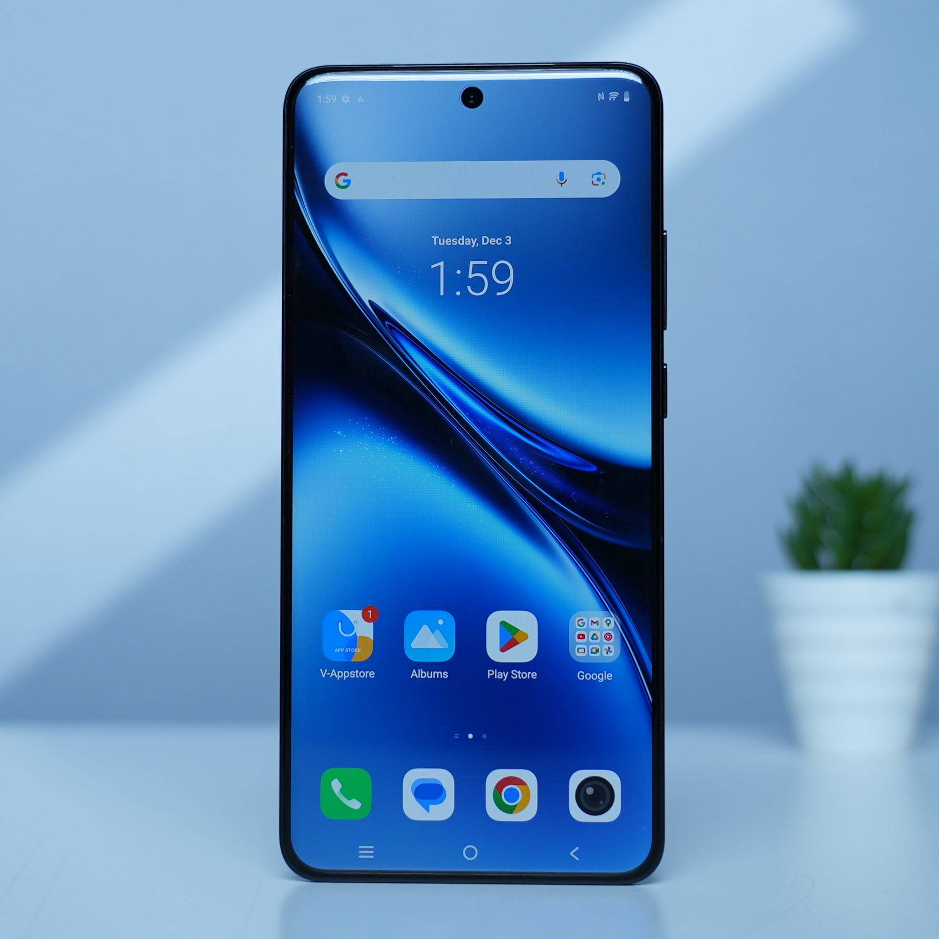 vivo