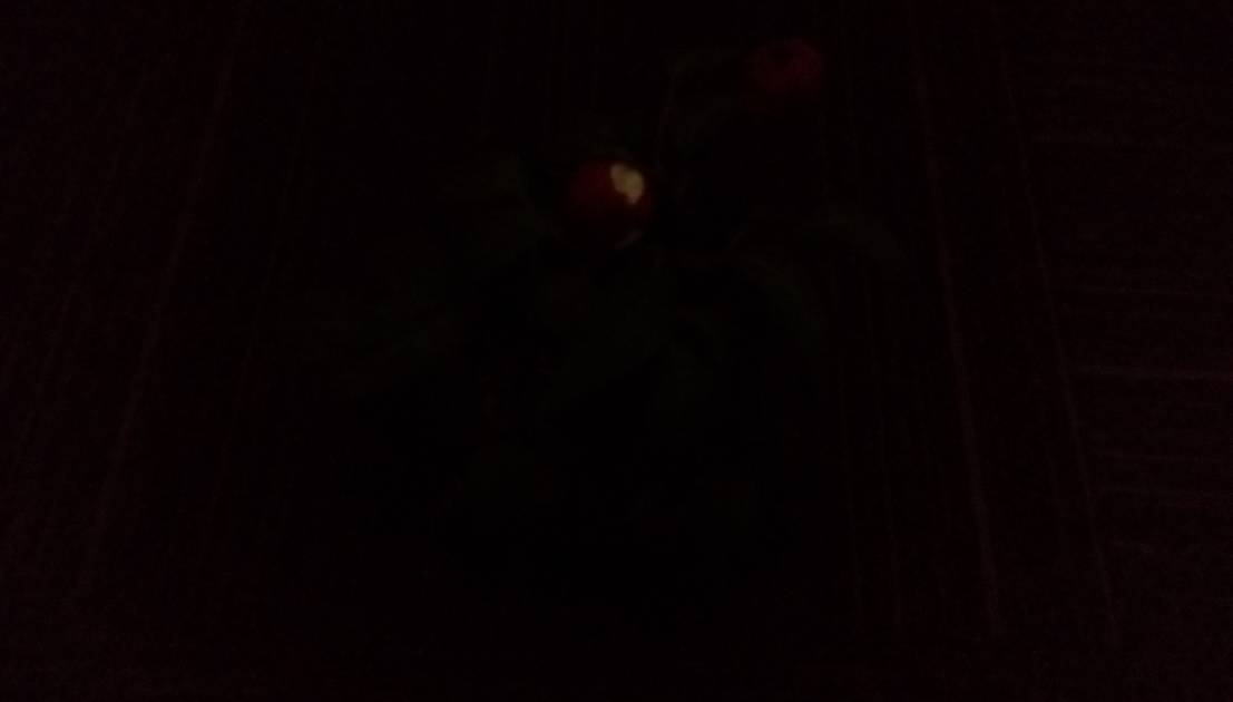 Rear Camera